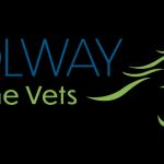 Solway Equine Vets