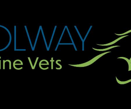 Solway Equine Vets