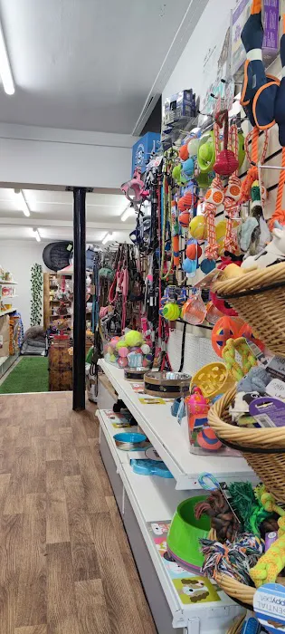 Appleby pet shop Picture 1