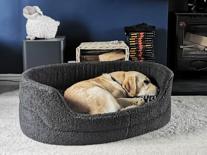 Appleby pet shop Picture 2