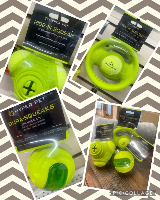 Appleby pet shop Picture 6