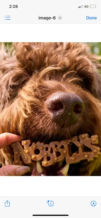 Appleby pet shop Picture 8