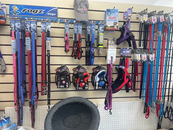 Appleby pet shop Picture 9