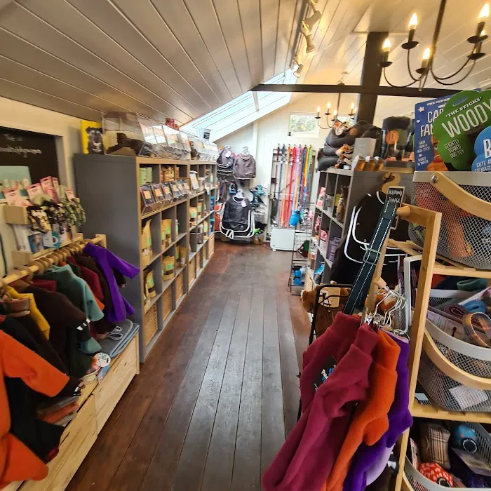 Rose and Ralph Picture 4