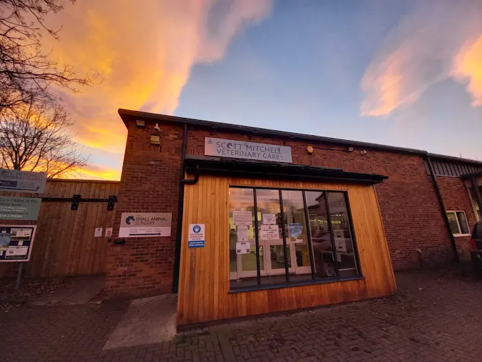 Scott Mitchell Veterinary Care Ltd Picture 2