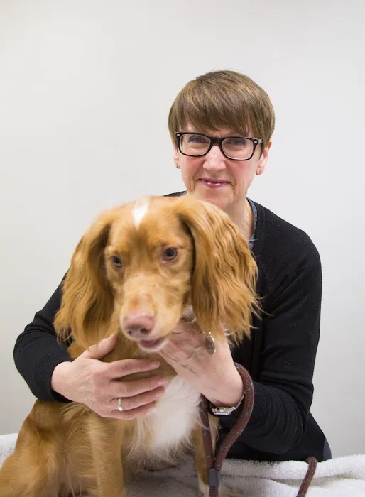 Orchard House Veterinary Centre Picture 4