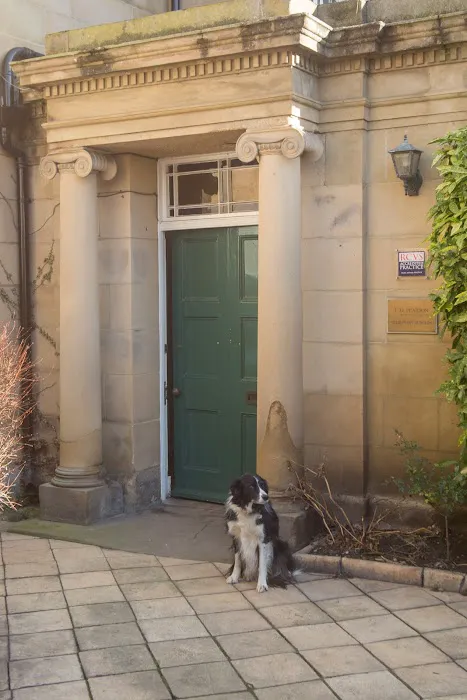 Orchard House Veterinary Centre Picture 7