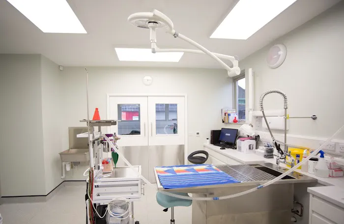 Orchard House Veterinary Centres Picture 1