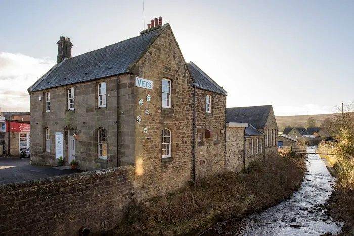 Orchard House Veterinary Centres Picture 9