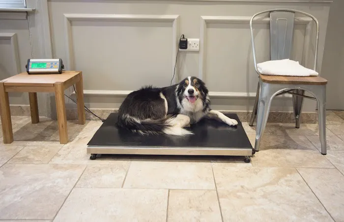 Orchard House Veterinary Centres Picture 5