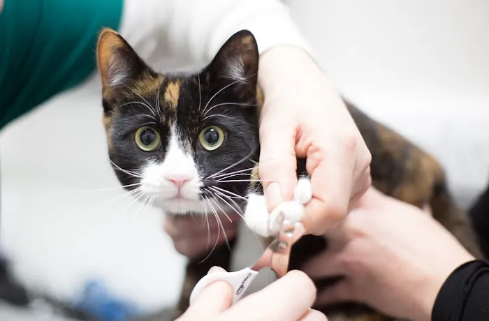 Orchard House Veterinary Centres Picture 3