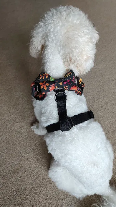 pawtasticcreations Picture 5