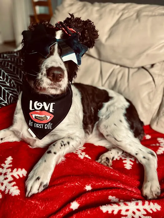 pawtasticcreations Picture 8