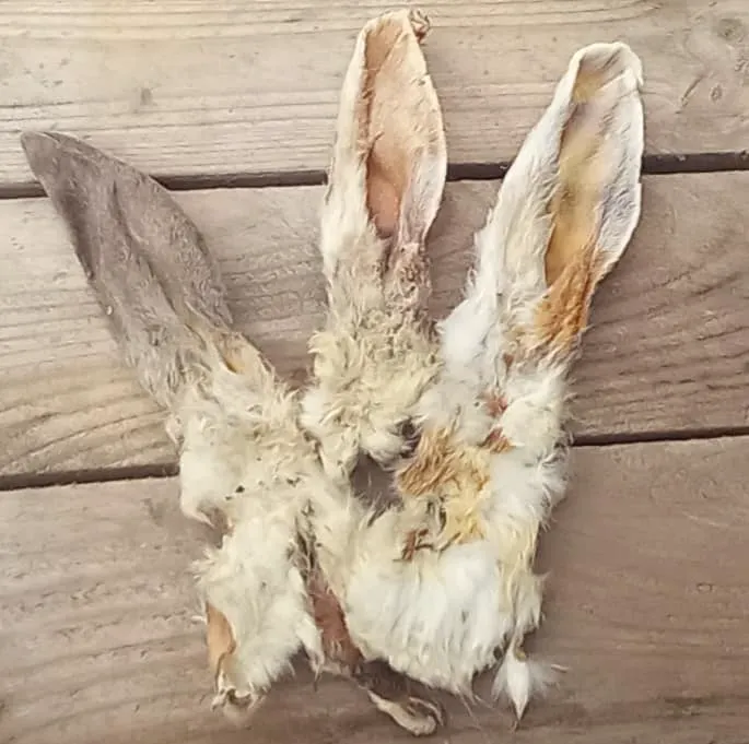 Bert and Barn's Natural Doggy Treats Picture 2