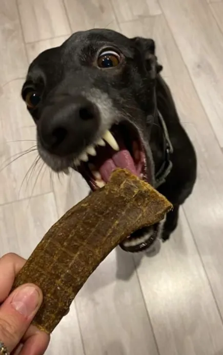 Bert and Barn's Natural Doggy Treats Picture 3