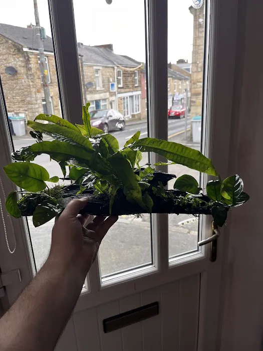 Omega Pets ltd Picture 3