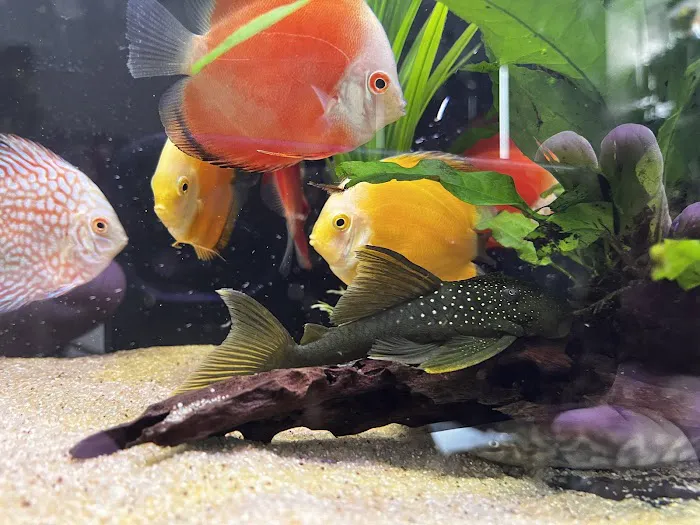 Omega Pets ltd Picture 1