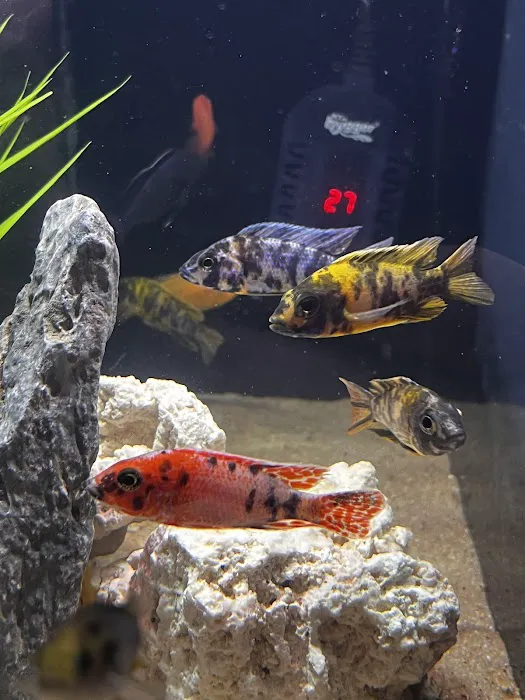 Omega Pets ltd Picture 9