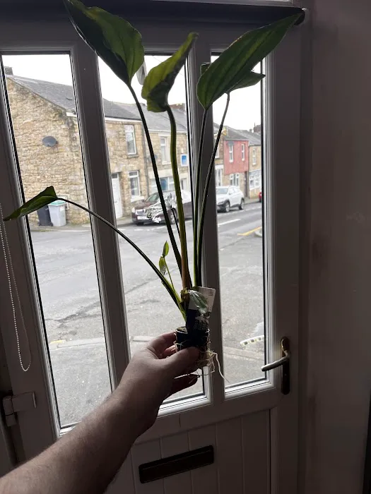 Omega Pets ltd Picture 8