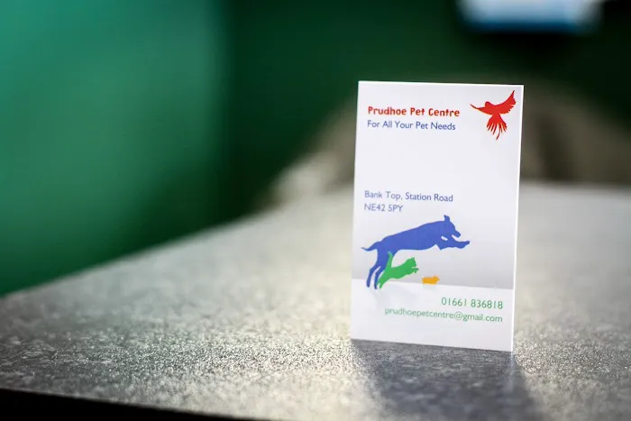 Prudhoe Pet Centre Picture 1