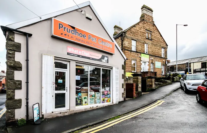 Prudhoe Pet Centre Picture 5