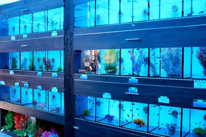 Lanchester Aquatics Picture 9