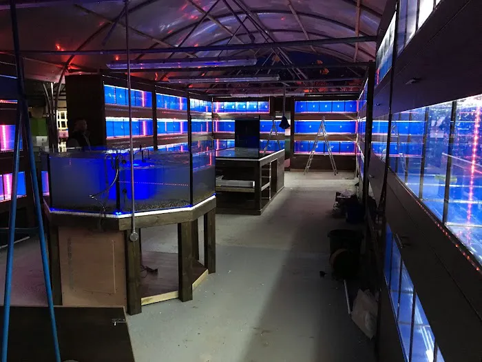 Lanchester Aquatics Picture 4