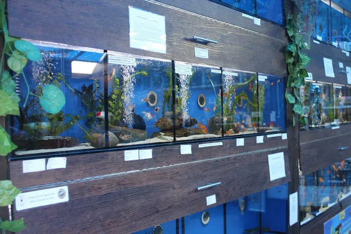 Lanchester Aquatics Picture 10