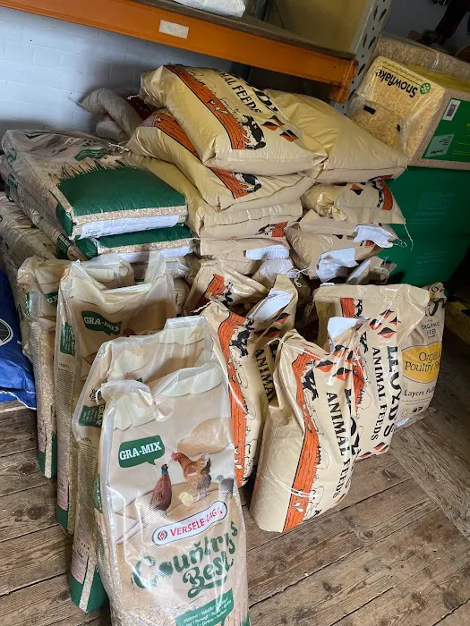 Clarks Country Store Picture 1