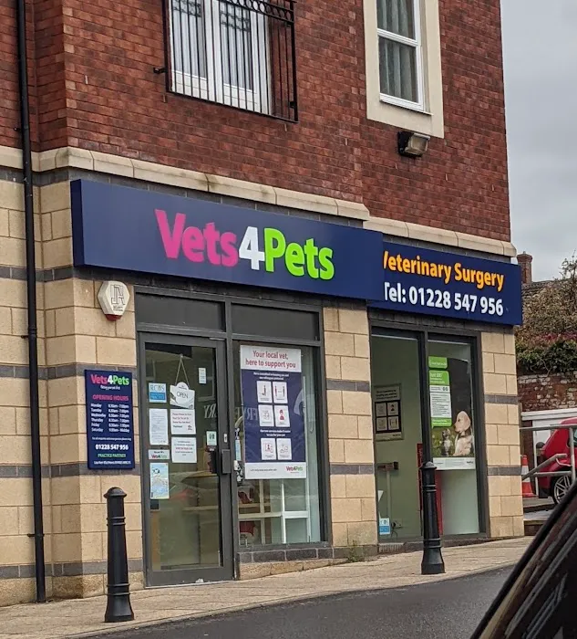 Vets4Pets - Carlisle Picture 2