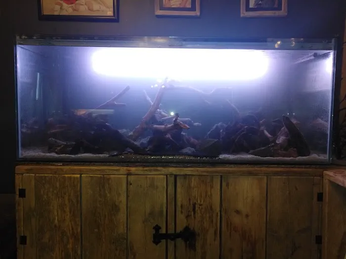 AC Aquatics Picture 6