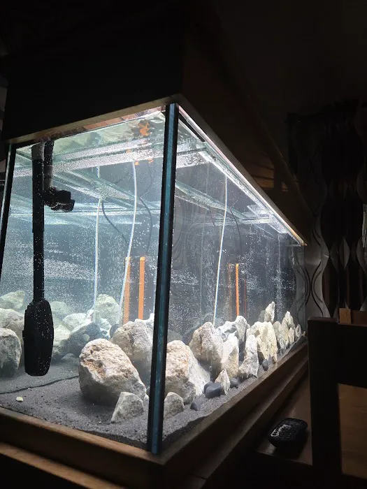 AC Aquatics Picture 1