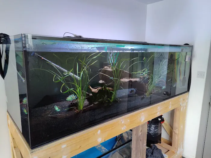 AC Aquatics Picture 9