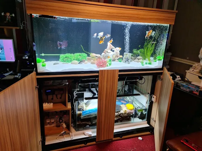 AC Aquatics Picture 2