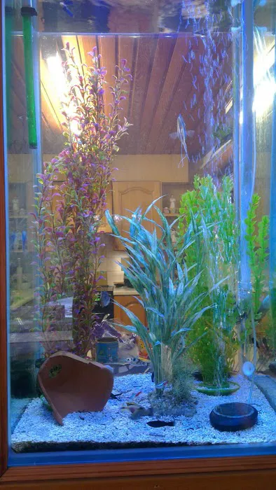 AC Aquatics Picture 5