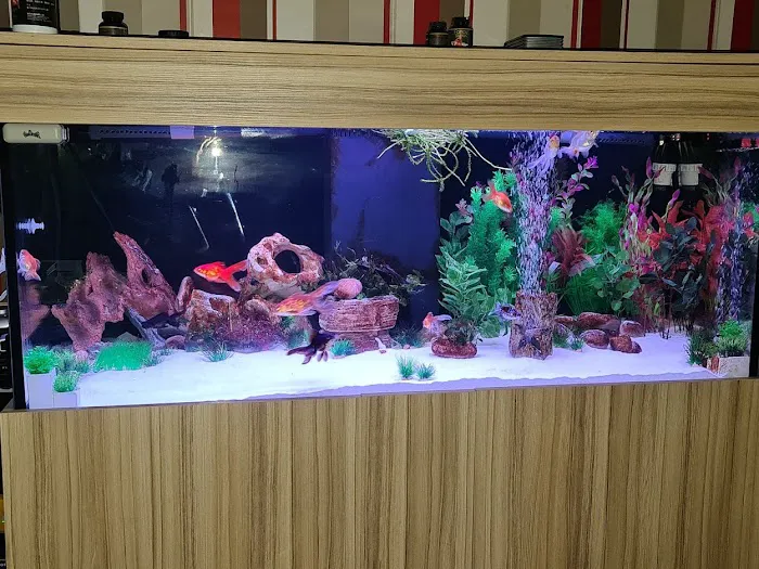 AC Aquatics Picture 3