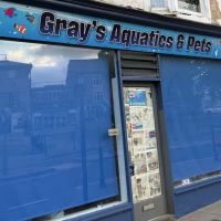 Grays aquatics and pets ico