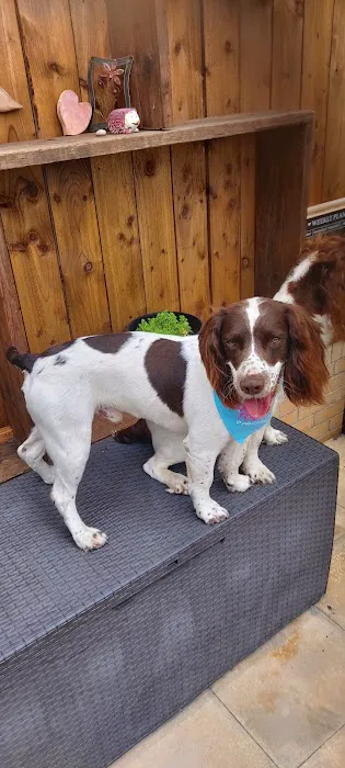 Pets at Home Consett Picture 1