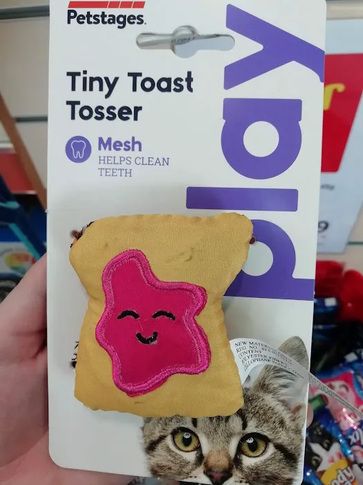 Pets at Home Consett Picture 6