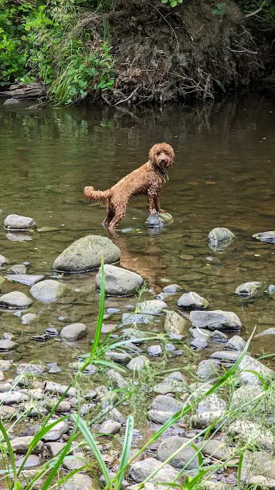 Pets at Home Consett Picture 9