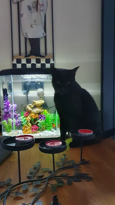 Pets at Home Consett Picture 2