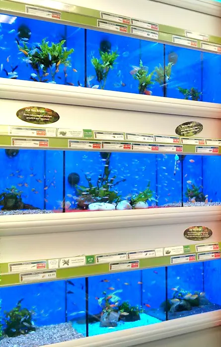 Pets at Home Consett Picture 5