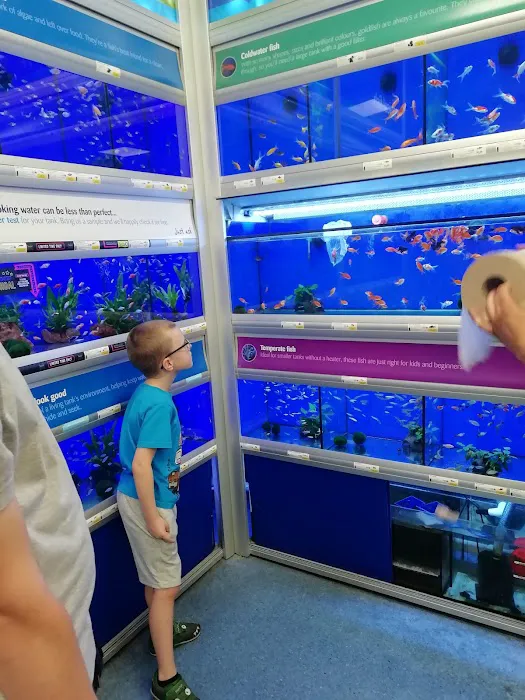 Pets at Home Consett Picture 7