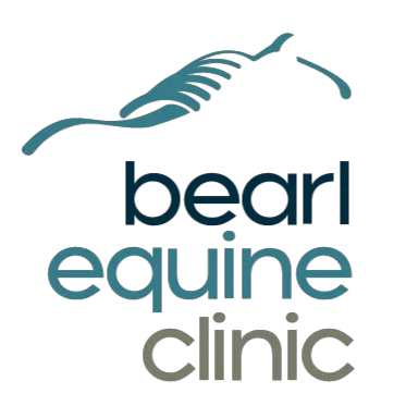 Bearl Equine Clinic Picture 2
