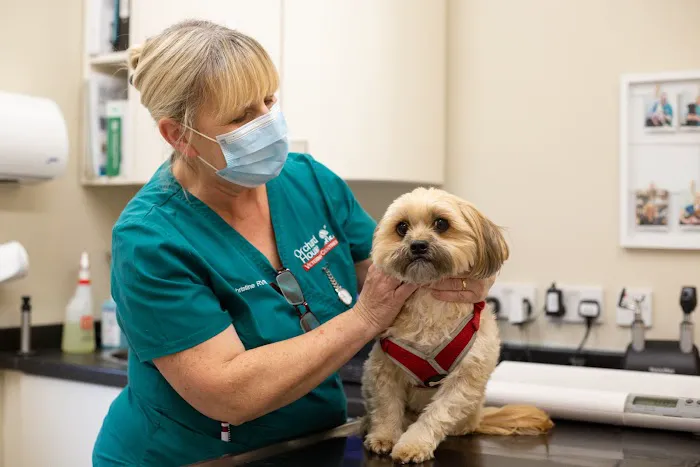 Orchard House Veterinary Services Ltd Picture 10