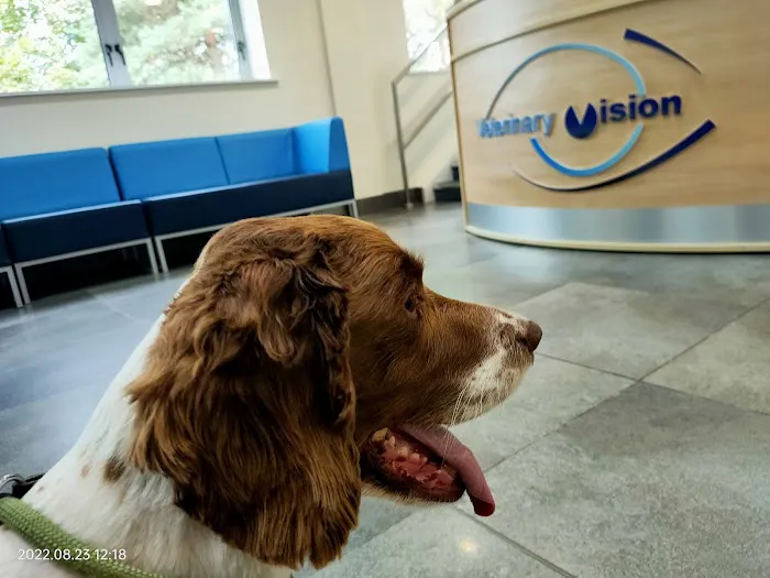 Veterinary Vision Limited Picture 4