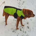 Rowcliffe House Vets Ltd