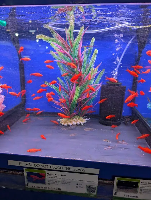 Maidenhead Aquatics Ponteland Picture 2