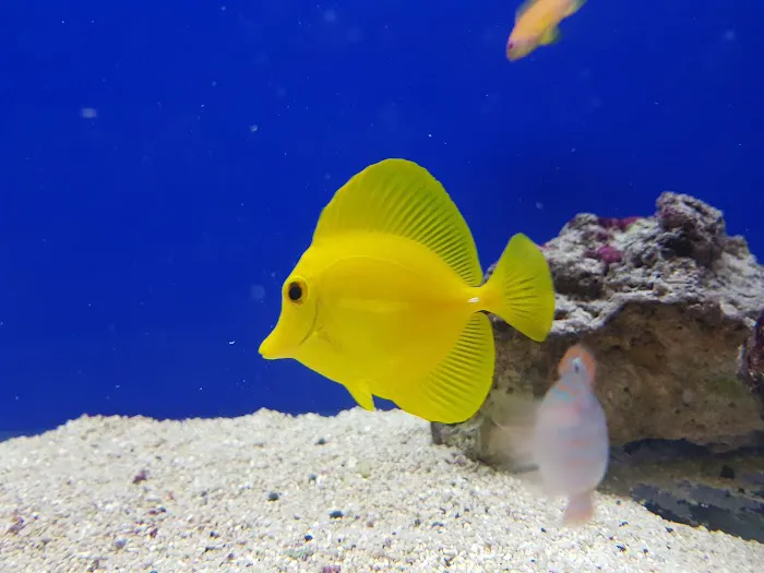 Maidenhead Aquatics Ponteland Picture 9