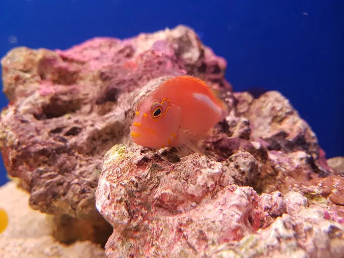 Maidenhead Aquatics Ponteland Picture 8